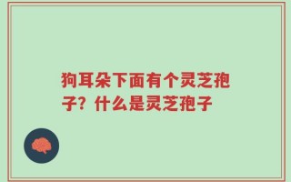 狗耳朵下面有个灵芝孢子？什么是灵芝孢子