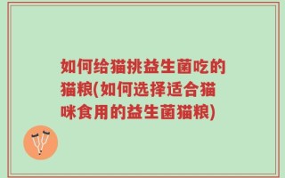 如何给猫挑益生菌吃的猫粮(如何选择适合猫咪食用的益生菌猫粮)