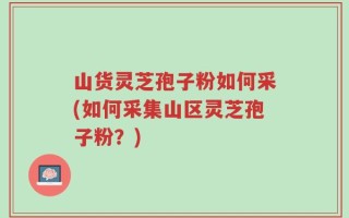 山货灵芝孢子粉如何采(如何采集山区灵芝孢子粉？)