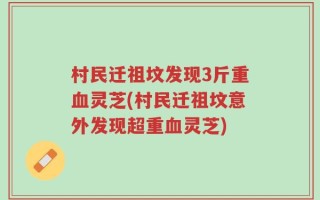 村民迁祖坟发现3斤重血灵芝(村民迁祖坟意外发现超重血灵芝)