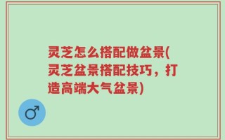 灵芝怎么搭配做盆景(灵芝盆景搭配技巧，打造高端大气盆景)