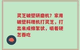 灵芝破壁研磨机？家用破壁料理机打灵芝，打出来成棉絮状，嚼着硬怎吞吃