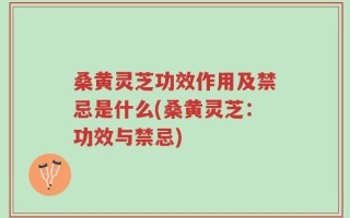 桑黄灵芝功效作用及禁忌是什么(桑黄灵芝：功效与禁忌)