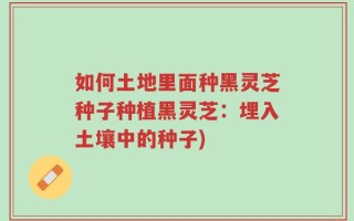 如何土地里面种黑灵芝种子种植黑灵芝：埋入土壤中的种子)