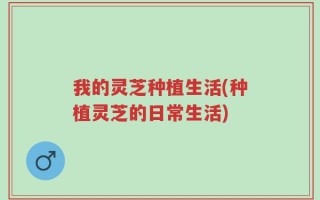 我的灵芝种植生活(种植灵芝的日常生活)