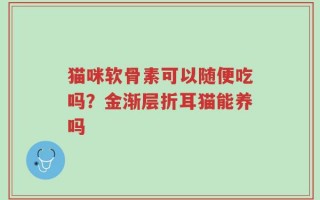 猫咪软骨素可以随便吃吗？金渐层折耳猫能养吗