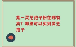 紫一灵芝孢子粉在哪有卖？哪里可以买到灵芝孢子