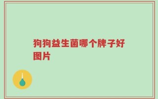 狗狗益生菌哪个牌子好图片