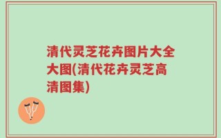 清代灵芝花卉图片大全大图(清代花卉灵芝高清图集)