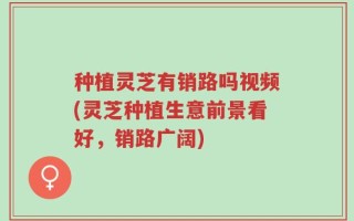 种植灵芝有销路吗视频(灵芝种植生意前景看好，销路广阔)