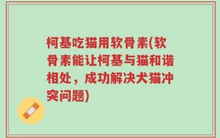 柯基吃猫用软骨素(软骨素能让柯基与猫和谐相处，成功解决犬猫冲突问题)