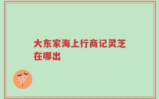 大东家海上行商记灵芝在哪出