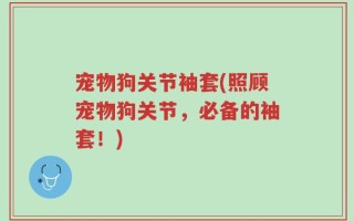 宠物狗关节袖套(照顾宠物狗关节，必备的袖套！)
