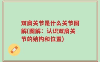 双肩关节是什么关节图解(图解：认识双肩关节的结构和位置)
