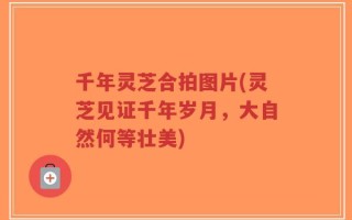 千年灵芝合拍图片(灵芝见证千年岁月，大自然何等壮美)