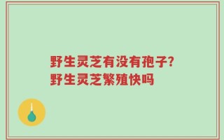 野生灵芝有没有孢子？野生灵芝繁殖快吗