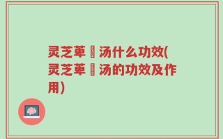 灵芝萆薢汤什么功效(灵芝萆薢汤的功效及作用)