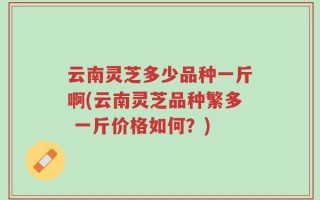 云南灵芝多少品种一斤啊(云南灵芝品种繁多 一斤价格如何？)