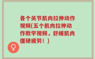 各个关节肌肉拉伸动作视频(五个肌肉拉伸动作教学视频，舒缓肌肉僵硬疲劳！)