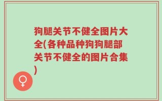 狗腿关节不健全图片大全(各种品种狗狗腿部关节不健全的图片合集)