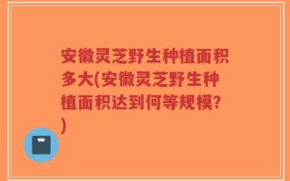 安徽灵芝野生种植面积多大(安徽灵芝野生种植面积达到何等规模？)