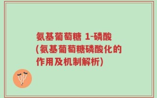 氨基葡萄糖 1-磷酸(氨基葡萄糖磷酸化的作用及机制解析)