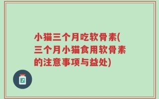 小猫三个月吃软骨素(三个月小猫食用软骨素的注意事项与益处)