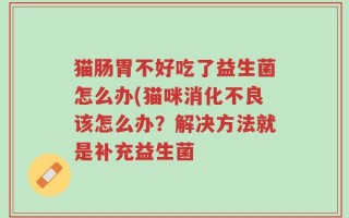 猫肠胃不好吃了益生菌怎么办(猫咪消化不良该怎么办？解决方法就是补充益生菌