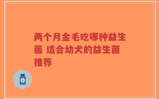 两个月金毛吃哪种益生菌 适合幼犬的益生菌推荐