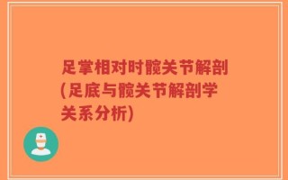 足掌相对时髋关节解剖(足底与髋关节解剖学关系分析)