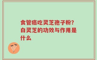 食管癌吃灵芝孢子粉？白灵芝的功效与作用是什么