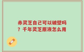 赤灵芝自己可以破壁吗？千年灵芝原液怎么用
