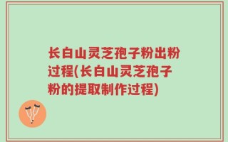 长白山灵芝孢子粉出粉过程(长白山灵芝孢子粉的提取制作过程)