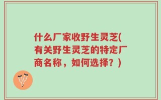 什么厂家收野生灵芝(有关野生灵芝的特定厂商名称，如何选择？)