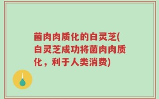 菌肉肉质化的白灵芝(白灵芝成功将菌肉肉质化，利于人类消费)