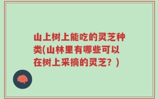 山上树上能吃的灵芝种类(山林里有哪些可以在树上采摘的灵芝？)