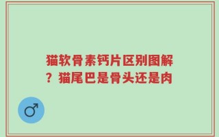 猫软骨素钙片区别图解？猫尾巴是骨头还是肉
