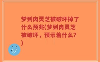梦到肉灵芝被破坏掉了什么预兆(梦到肉灵芝被破坏，预示着什么？)