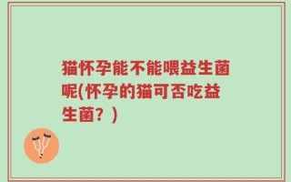 猫怀孕能不能喂益生菌呢(怀孕的猫可否吃益生菌？)