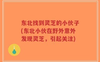 东北找到灵芝的小伙子(东北小伙在野外意外发现灵芝，引起关注)