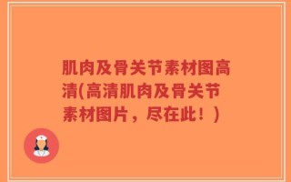 肌肉及骨关节素材图高清(高清肌肉及骨关节素材图片，尽在此！)