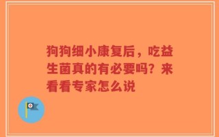 狗狗细小康复后，吃益生菌真的有必要吗？来看看专家怎么说