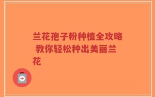 兰花孢子粉种植全攻略 教你轻松种出美丽兰花