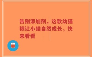告别添加剂，这款幼猫粮让小猫自然成长，快来看看