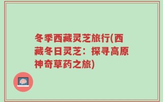 冬季西藏灵芝旅行(西藏冬日灵芝：探寻高原神奇草药之旅)