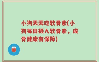 小狗天天吃软骨素(小狗每日摄入软骨素，成骨健康有保障)