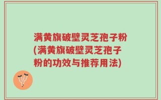 满黄旗破壁灵芝孢子粉(满黄旗破壁灵芝孢子粉的功效与推荐用法)
