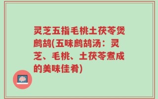 灵芝五指毛桃土茯苓煲鹧鸪(五味鹧鸪汤：灵芝、毛桃、土茯苓煮成的美味佳肴)