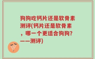 狗狗吃钙片还是软骨素测评(钙片还是软骨素，哪一个更适合狗狗？——测评)