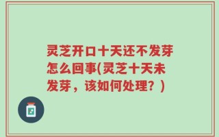 灵芝开口十天还不发芽怎么回事(灵芝十天未发芽，该如何处理？)